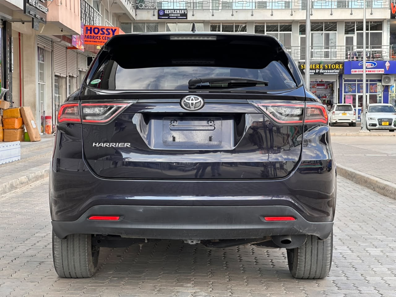 Toyota Harrier Anaconda thumbnail 7